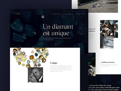 Diamond Producers Association agency art direction association clear dark design diamond digital interface jeweler luxury web webdesign