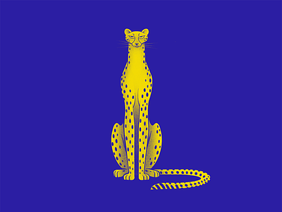 Cheetah 2 colors africa animal blue cat cheetah illustration nature procreate savage wildcat