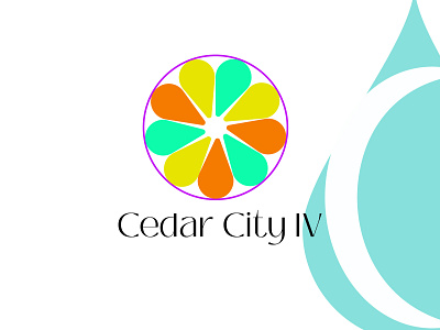 cedar city iv branding graphic design logo
