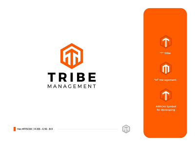 TRIBE MANAGEMENT Logo agency logo brand brand identity branding branding design design icon logo logogram management symbol