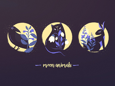 Moon Rabbit Designs Themes Templates And Downloadable Graphic Elements On Dribbble Moon Rabbit Designs Themes Templates And Downloadable Graphic Elements On Dribbble