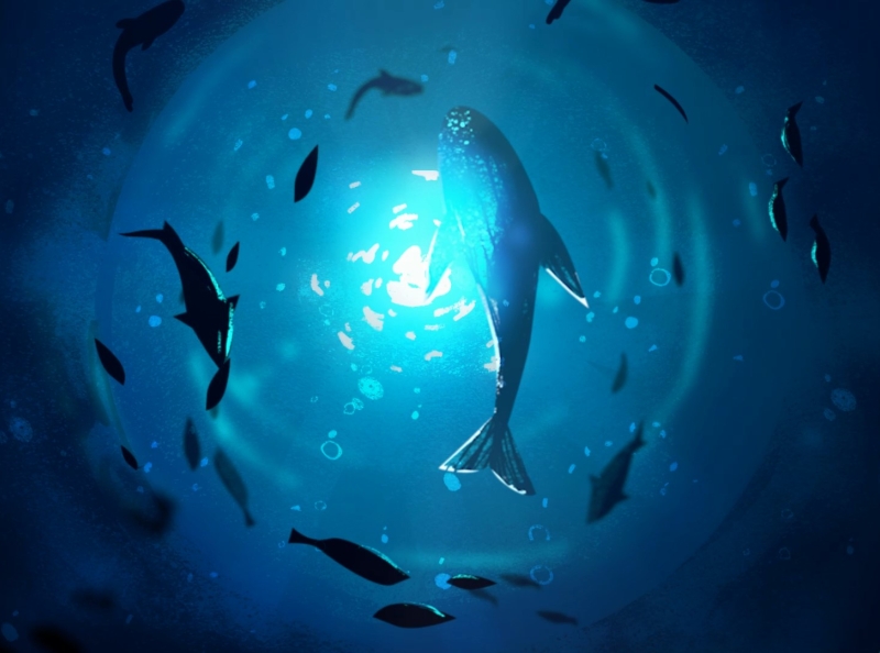 Ocean life by K&C Studios on Dribbble