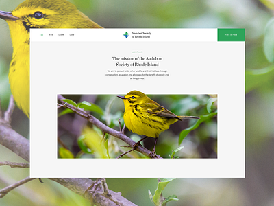 ASRI - Header Exploration (WIP 01) animals audubon bird header landing page minimal website wip