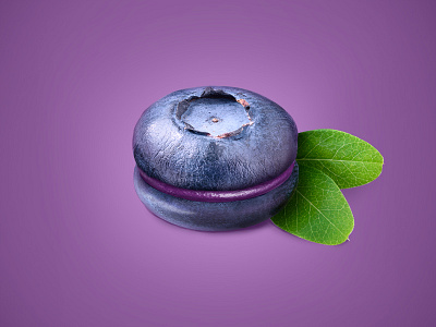 Blueberry Macaron