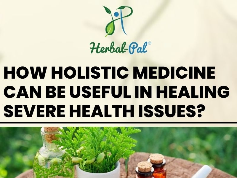 Heal your body with the help of holistic medicine by Herbal Pal on Dribbble