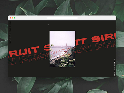Portfolio Site Concept 🌿 hover typography ui web design webflow