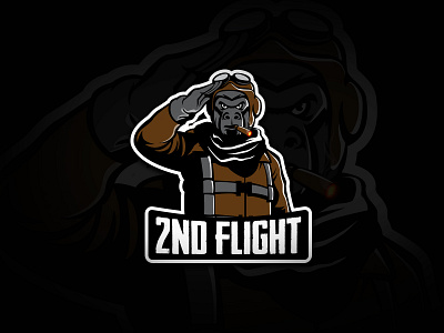 2nd Flight esports logo team tournament
