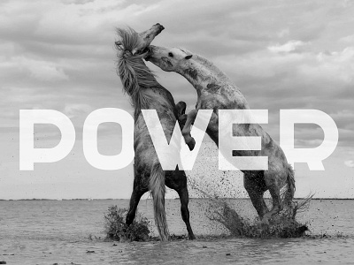 Power art graphicdesign horse illustration photography power