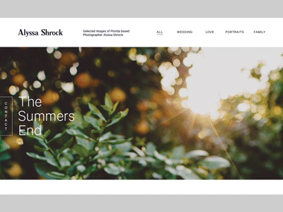 Alyssa Shrock animation after effects gif website ui ux layout brand identity photography design motion