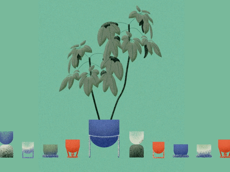 Pots + plants animation colors design illustration motion plants pots texture