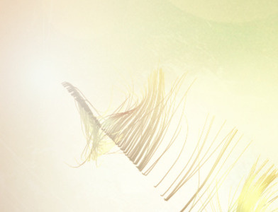 Abstract Feather abstract cinema 4d feather lens flare