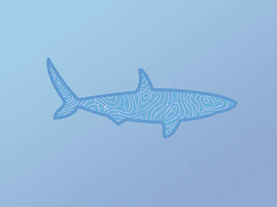 Topographic Shark animal design distress fish illustration shark topographic