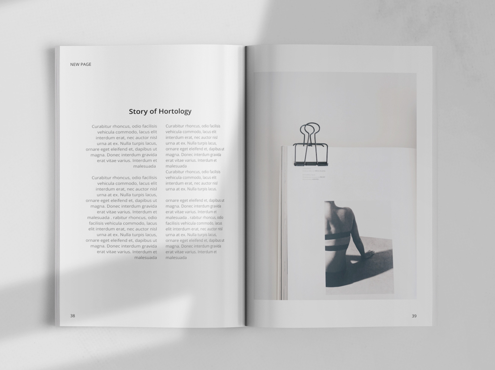 Minimalist Magazine Page Design by Irem Ozden on Dribbble