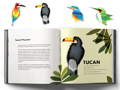 Colors in Flight birds book design spreads stickers