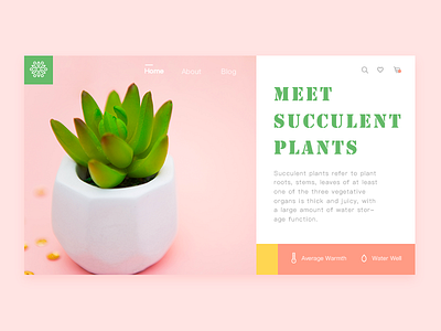 Meet Succulent Plants air clean green header landing minimal pink plant potted succulent ui ux web web desgin website