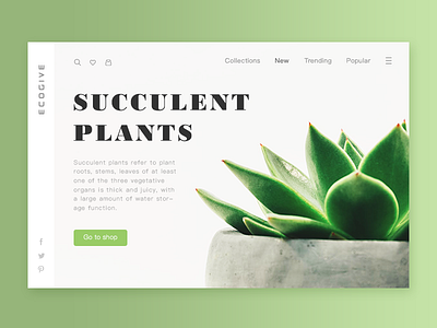 Succulent Plants