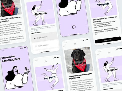 Donation user flow / Animal Shelter mobile app