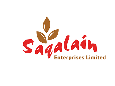 Logo | Saqalain E. Ltd design graphic design illustration logo