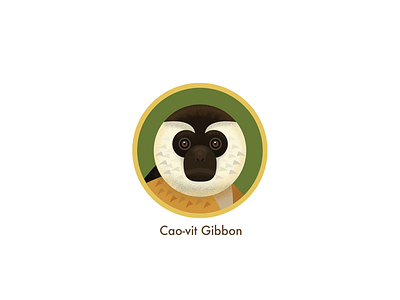 gibbon china gibbon ngo vietnam