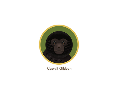 gibbon