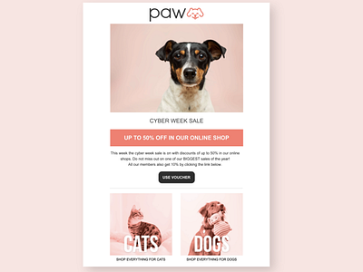 Email newsletter and logo design for "paw" animals bright cats design dogs email email newsletter logo newsletter paw pet shop pet store pets pink rodents web design