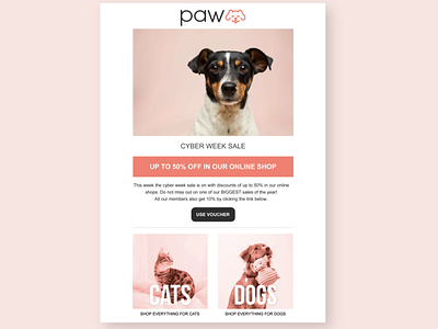 Email newsletter and logo design for "paw"