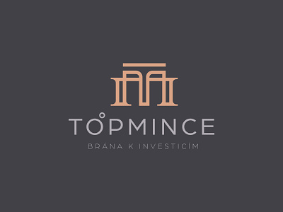 LOGO T+M TOPCOINE brand branding coin coins creative letter letter m letter t line art logo logo design modern money shop