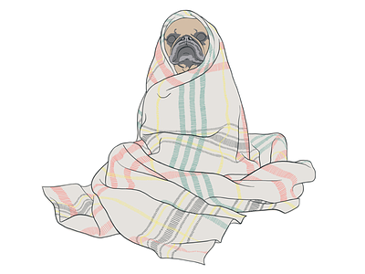Pug in a blanket blanket lol pug