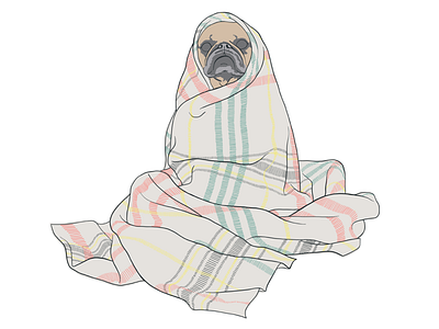 Pug in a blanket