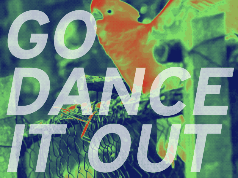 Go Dance It Out parrot party soundcloud