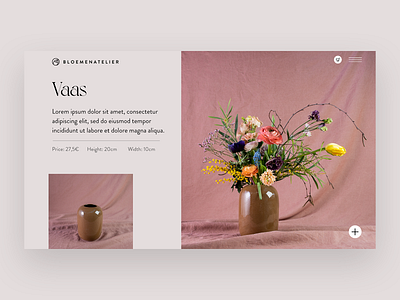 Vaas concept design photography ui web