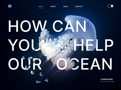 National Ocean Service Web Design Concept