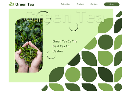 Green Tea branding design graphic design illustration logo typography ui ux