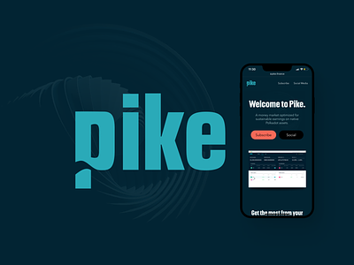 Pike finance branding design figma site ui ux web design webflow