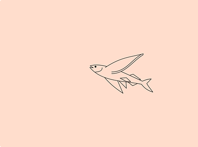 Fish, Fly app branding design graphic design illustration logo typography ui ux vector