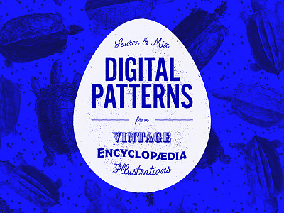 Digital Patterns from Vintage Encyclopaedia Illustrations collage hipster learning pattern retro skillshare turtles tutorial type typography vintage