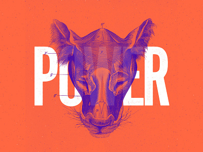 Power anatomy animal collage color duotone illustration minimalist skull typography vintage
