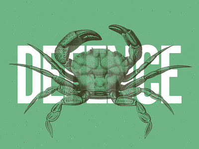 Defence anatomy animal collage color duotone illustration minimalist typography vintage