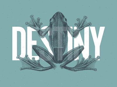 Destiny animal collage color duotone illustration minimalist typography vintage