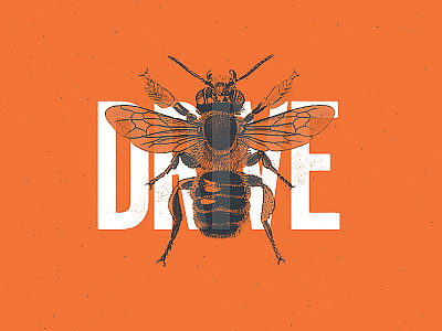 Drive animal collage color duotone illustration minimalist typography vintage