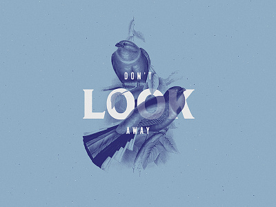 Don't Look Away bird collage color duotone illustration minimalist typography vintage