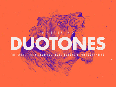 Mastering Duotones Skillshare Class animal color duotone effect illustration minimalist photoshop trend tutorial typography vintage
