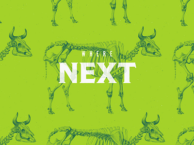 Where Next animal behance color duotone illustration minimalist pattern photoshop skeleton trend typography vintage