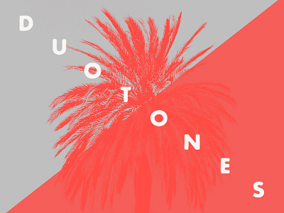 Attitude Duotones behance color duotone minimalist photoshop trend typography