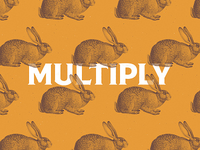 Multiply animal behance color duotone illustration minimalist pattern photoshop trend typography vintage