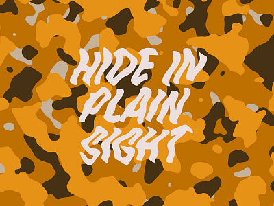 Hide in Plain Sight abstract camouflage color experiment modern organic pattern skillshare trendy typography