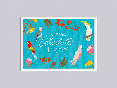 Adobe Live Ulladulla Postcard illustration postcard typography ulludulla vector