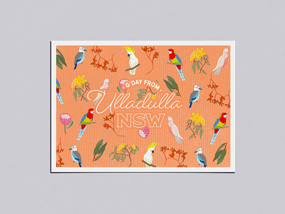 Adobe Live Ulladulla Postcard v2 illustration postcard typography ulludulla vector