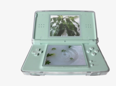 350 3506491 Aesthetic Plants And Nintendo Ds Lite Image Nintendo