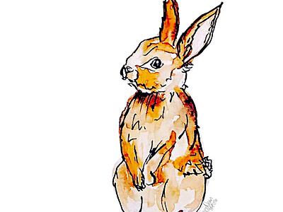 Eduardo animals brown bunny fine art forest animal rabbit rabbit illustration watercolor watercolor animal woodland